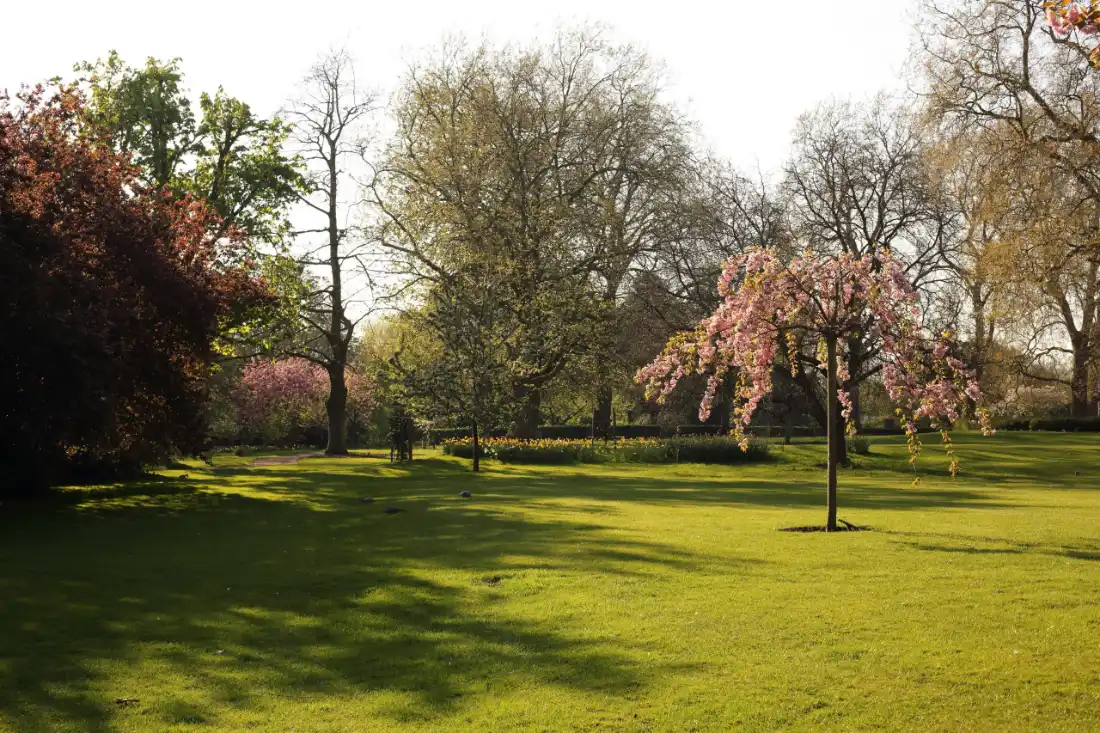 Low and behold, after a few days of viewings I found the perfect apartment in the heart of Marylebone Village
